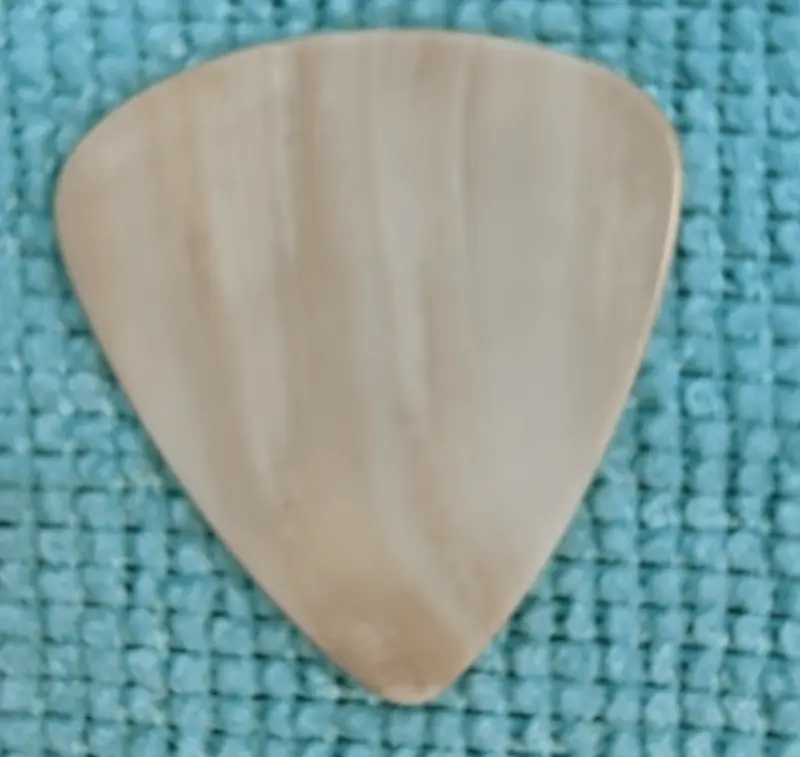 Blue Background against another sea shell pick highlighting coloration.