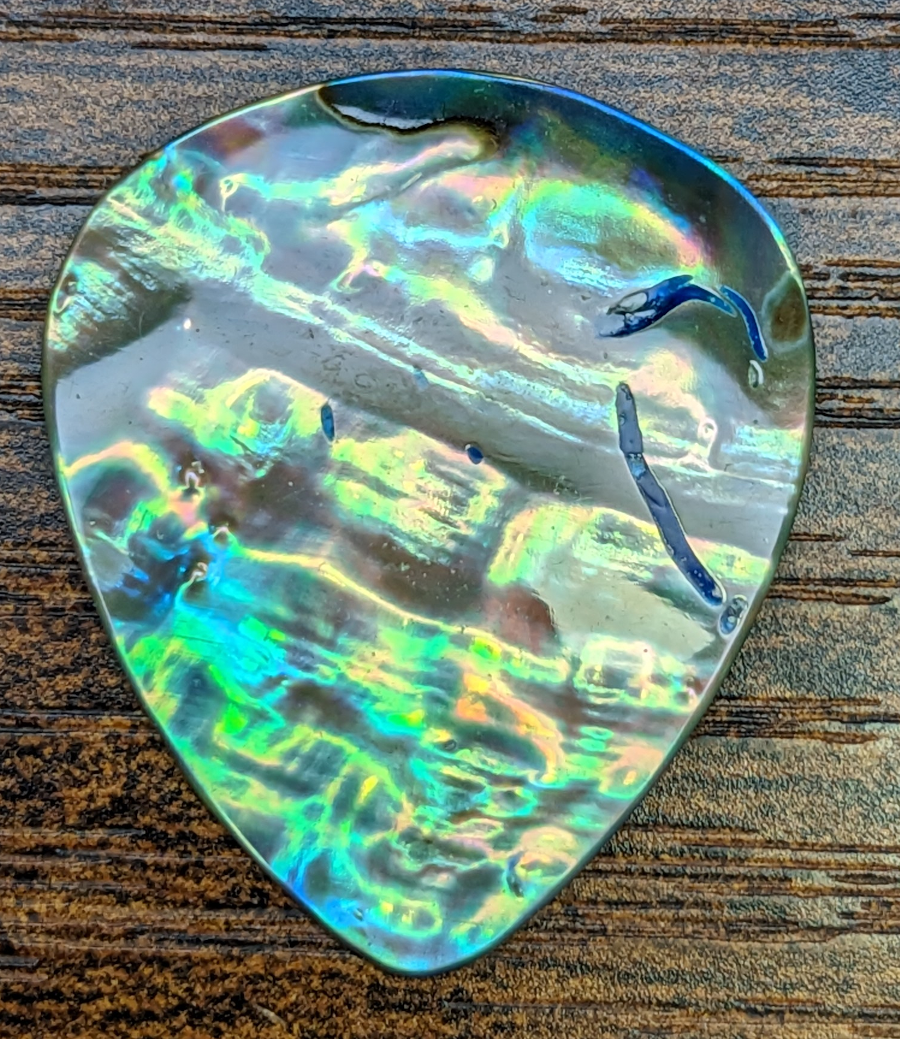 A beautiful Example of a Sea Shell Pick: An Abalone made by NewPort ScrimShanders set on a wood surface.